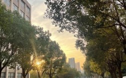2025年安徽中考250分怎么選？中專？安徽工貿職業技術學院（五年一貫制）免升學焦慮 3年中專2年公辦大專