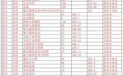 2024年四川電影電視學(xué)院分?jǐn)?shù)線