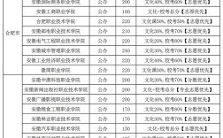 2024年安徽專科學(xué)校排名及分?jǐn)?shù)線