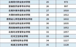 云南專科學校排名前十公辦(云南省公立大專學校有哪些)