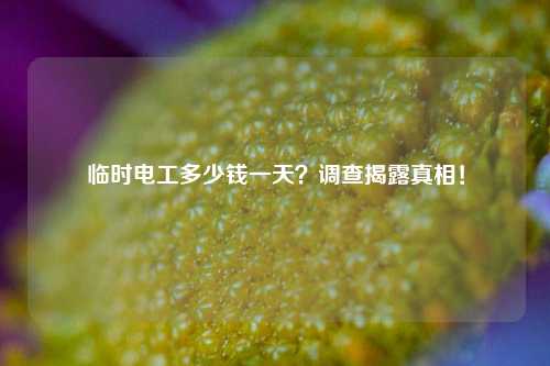 臨時電工多少錢一天？調查揭露真相！-圖1