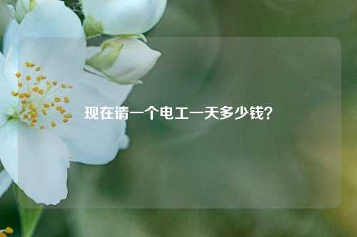 現(xiàn)在請一個電工一天多少錢？-圖1